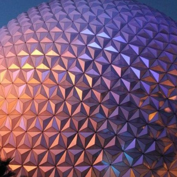 Meet your Posher, Gracie - Picture 1 of 1